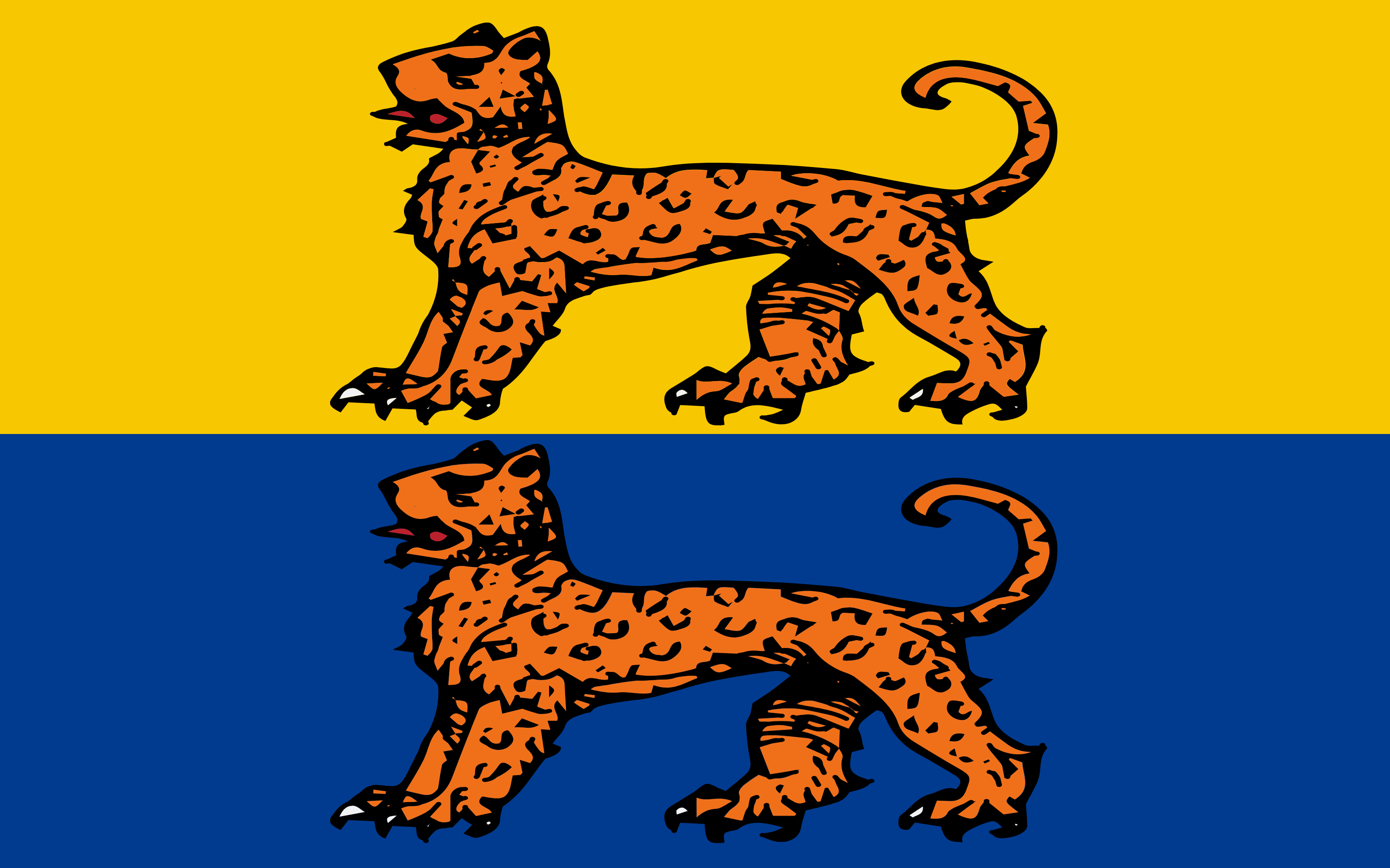Flag of Ballinham (Earldom)