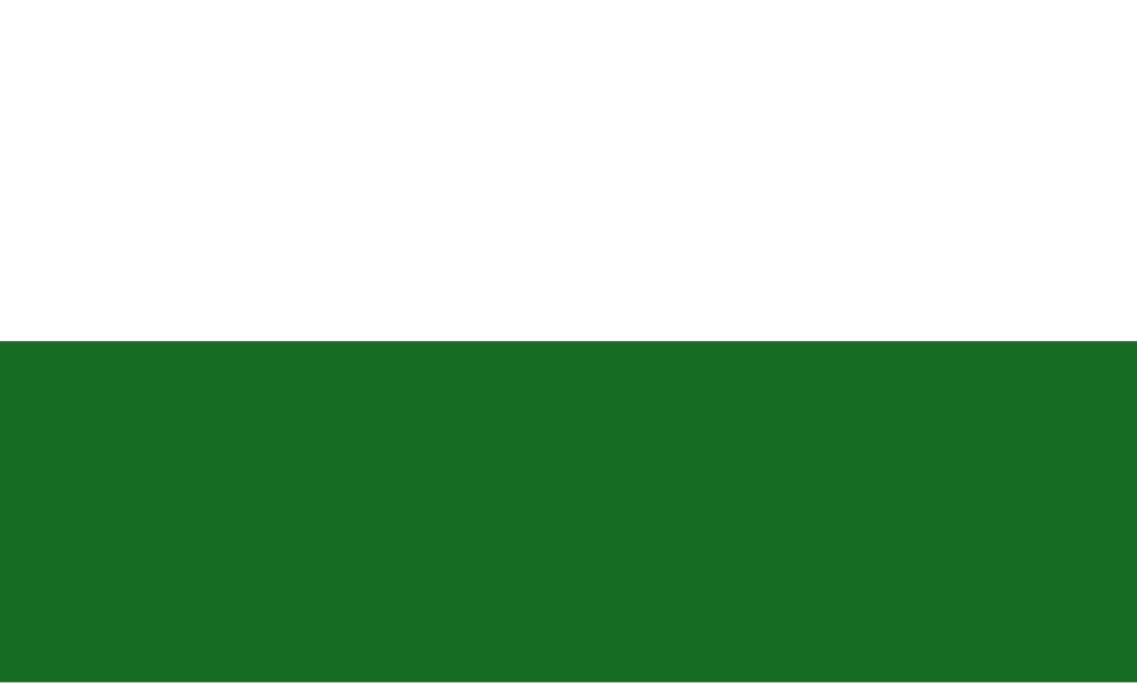 Flag of New Totemgrad